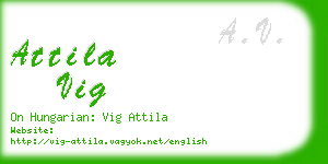 attila vig business card